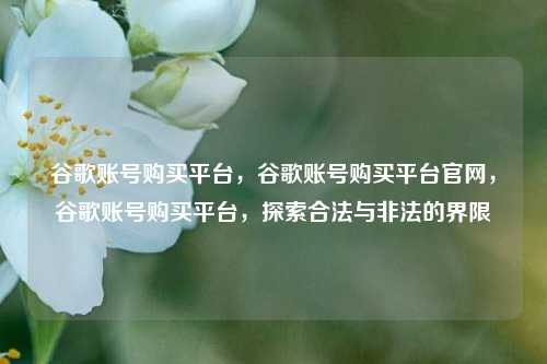 谷歌账号购买平台，谷歌账号购买平台官网，谷歌账号购买平台，探索合法与非法的界限