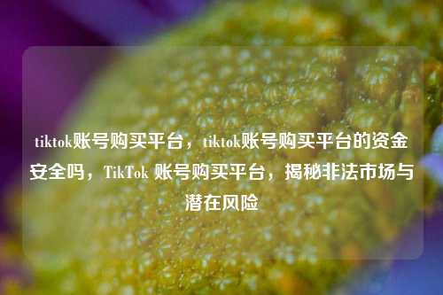 tiktok账号购买平台，tiktok账号购买平台的资金安全吗，TikTok 账号购买平台，揭秘非法市场与潜在风险