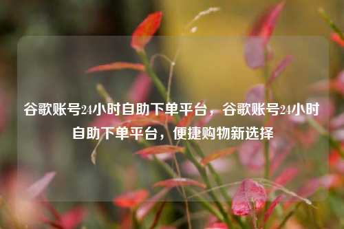 谷歌账号24小时自助下单平台，谷歌账号24小时自助下单平台，便捷购物新选择