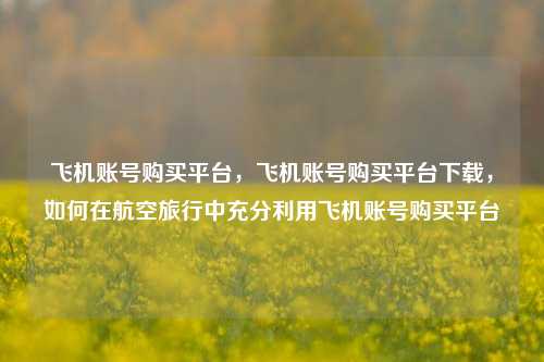 飞机账号购买平台，飞机账号购买平台下载，如何在航空旅行中充分利用飞机账号购买平台