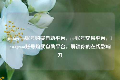 instagram账号购买自助平台，ins账号交易平台，Instagram账号购买自助平台	，解锁你的在线影响力  第1张
