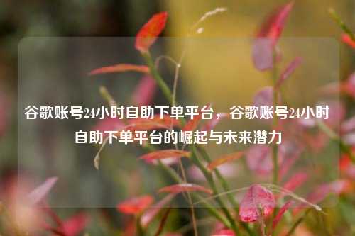 谷歌账号24小时自助下单平台，谷歌账号24小时自助下单平台的崛起与未来潜力