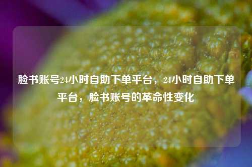 脸书账号24小时自助下单平台，24小时自助下单平台，脸书账号的革命性变化