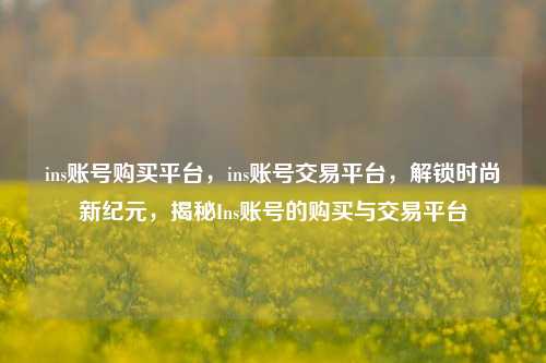 ins账号购买平台，ins账号交易平台，解锁时尚新纪元，揭秘Ins账号的购买与交易平台
