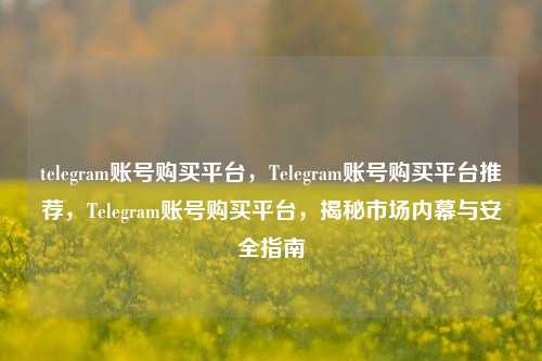 telegram账号购买平台，Telegram账号购买平台推荐，Telegram账号购买平台，揭秘市场内幕与安全指南