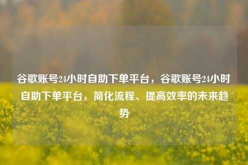 谷歌账号24小时自助下单平台，谷歌账号24小时自助下单平台，简化流程、提高效率的未来趋势