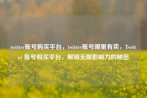 twitter账号购买平台，twitter账号哪里有卖，Twitter 账号购买平台，解锁无限影响力的秘密