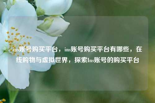 ins账号购买平台，ins账号购买平台有哪些，在线购物与虚拟世界，探索Ins账号的购买平台
