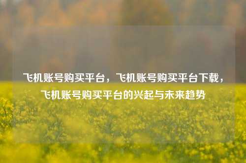 飞机账号购买平台，飞机账号购买平台下载，飞机账号购买平台的兴起与未来趋势
