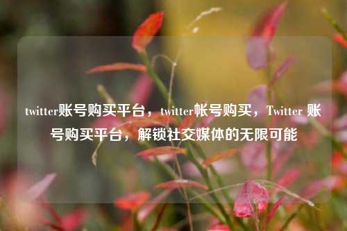 twitter账号购买平台	，twitter帐号购买，Twitter 账号购买平台，解锁社交媒体的无限可能  第1张