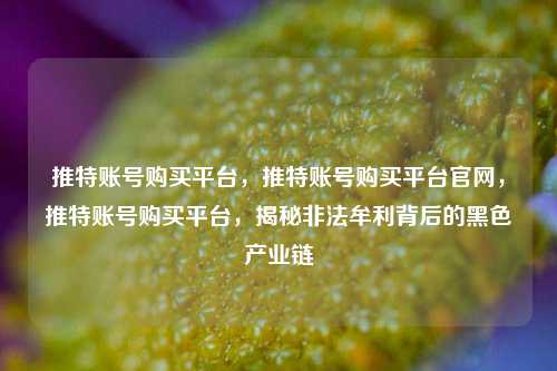 推特账号购买平台，推特账号购买平台官网，推特账号购买平台，揭秘非法牟利背后的黑色产业链