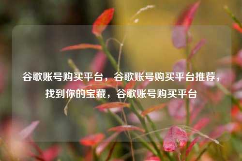 谷歌账号购买平台，谷歌账号购买平台推荐，找到你的宝藏，谷歌账号购买平台