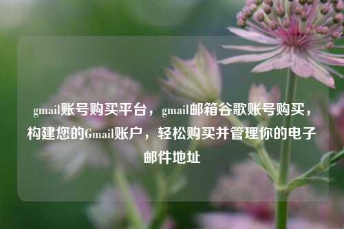 gmail账号购买平台，gmail邮箱谷歌账号购买	，构建您的Gmail账户，轻松购买并管理你的电子邮件地址  第1张