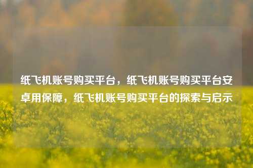纸飞机账号购买平台，纸飞机账号购买平台安卓用保障，纸飞机账号购买平台的探索与启示