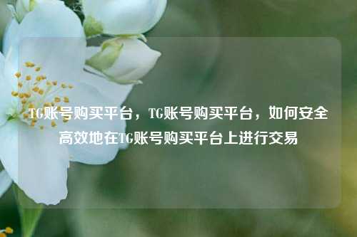 TG账号购买平台，TG账号购买平台，如何安全高效地在TG账号购买平台上进行交易
