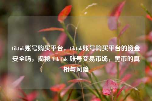 tiktok账号购买平台，tiktok账号购买平台的资金安全吗，揭秘 TikTok 账号交易市场，黑市的真相与风险