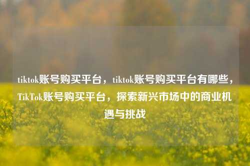 tiktok账号购买平台，tiktok账号购买平台有哪些，TikTok账号购买平台，探索新兴市场中的商业机遇与挑战