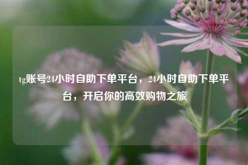 tg账号24小时自助下单平台，24小时自助下单平台，开启你的高效购物之旅