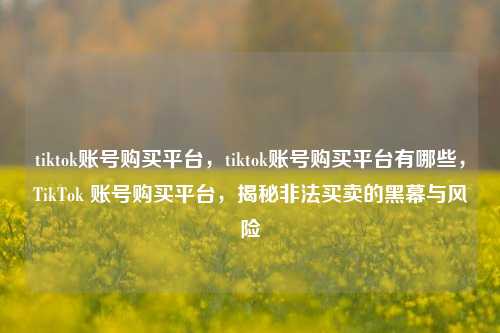 tiktok账号购买平台，tiktok账号购买平台有哪些，TikTok 账号购买平台，揭秘非法买卖的黑幕与风险