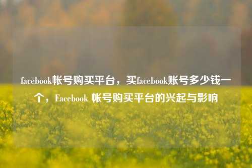 facebook帐号购买平台，买facebook账号多少钱一个，Facebook 帐号购买平台的兴起与影响
