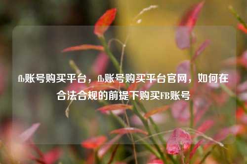fb账号购买平台，fb账号购买平台官网，如何在合法合规的前提下购买FB账号