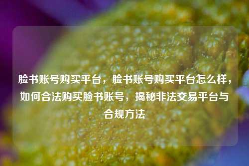 脸书账号购买平台，脸书账号购买平台怎么样，如何合法购买脸书账号，揭秘非法交易平台与合规方法