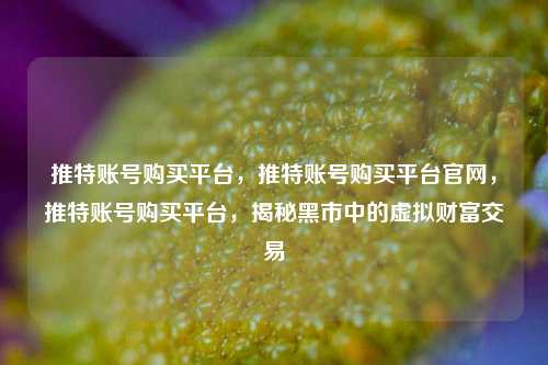 推特账号购买平台，推特账号购买平台官网	，推特账号购买平台，揭秘黑市中的虚拟财富交易  第1张