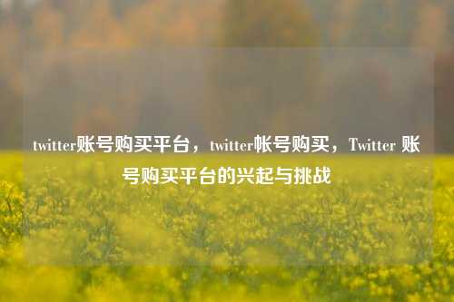 twitter账号购买平台，twitter帐号购买，Twitter 账号购买平台的兴起与挑战