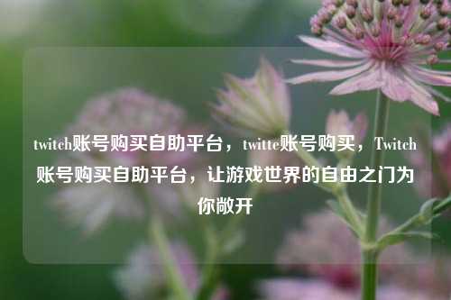 twitch账号购买自助平台，twitte账号购买，Twitch账号购买自助平台，让游戏世界的自由之门为你敞开