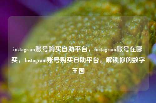 instagram账号购买自助平台	，instagram账号在哪买，Instagram账号购买自助平台，解锁你的数字王国  第1张