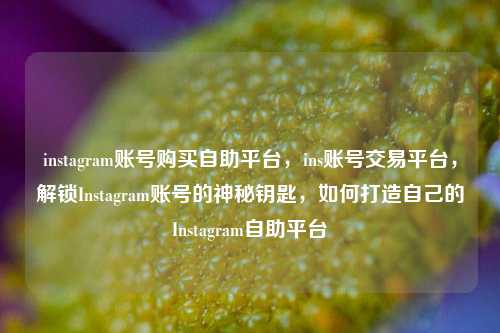 instagram账号购买自助平台，ins账号交易平台，解锁Instagram账号的神秘钥匙，如何打造自己的Instagram自助平台