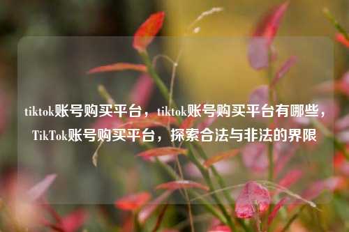 tiktok账号购买平台，tiktok账号购买平台有哪些，TikTok账号购买平台，探索合法与非法的界限  第1张
