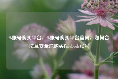 fb账号购买平台，fb账号购买平台官网，如何合法且安全地购买Facebook账号
