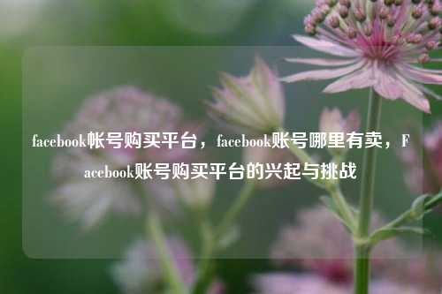 facebook帐号购买平台，facebook账号哪里有卖，Facebook账号购买平台的兴起与挑战