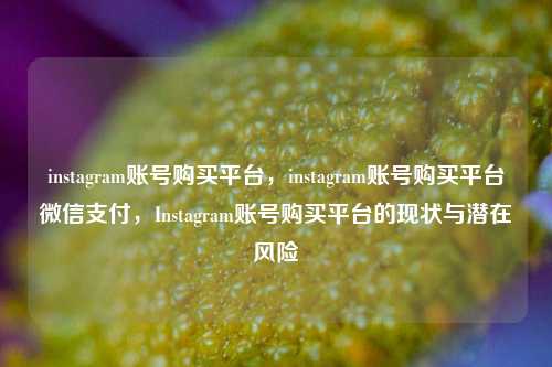 instagram账号购买平台，instagram账号购买平台微信支付，Instagram账号购买平台的现状与潜在风险