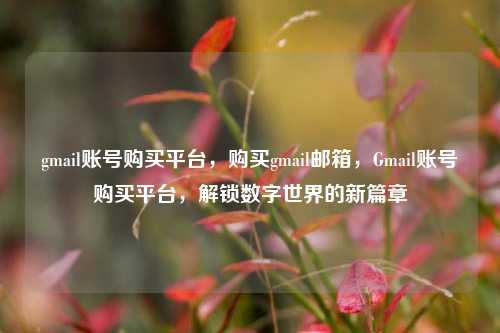 gmail账号购买平台，购买gmail邮箱	，Gmail账号购买平台，解锁数字世界的新篇章  第1张