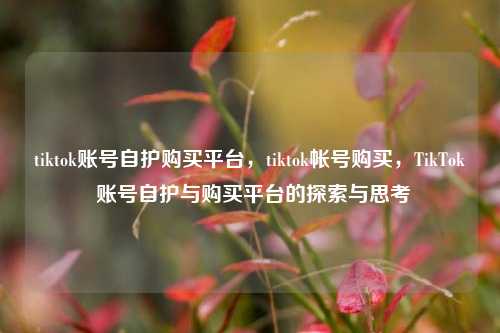 tiktok账号自护购买平台，tiktok帐号购买，TikTok 账号自护与购买平台的探索与思考