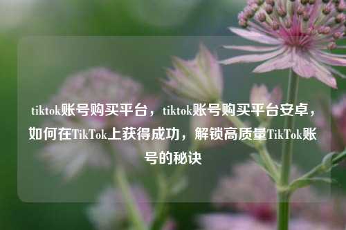 tiktok账号购买平台，tiktok账号购买平台安卓	，如何在TikTok上获得成功，解锁高质量TikTok账号的秘诀  第1张