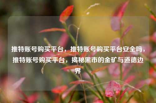 推特账号购买平台，推特账号购买平台安全吗，推特账号购买平台，揭秘黑市的金矿与道德边界