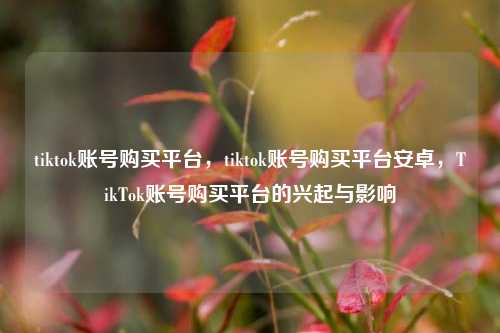 tiktok账号购买平台，tiktok账号购买平台安卓，TikTok账号购买平台的兴起与影响