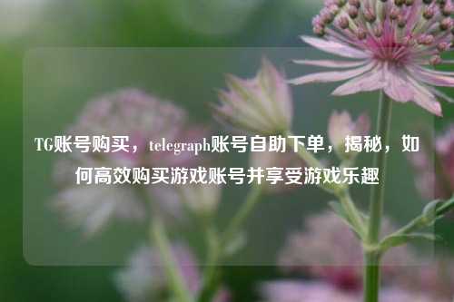 TG账号购买，telegraph账号自助下单，揭秘，如何高效购买游戏账号并享受游戏乐趣