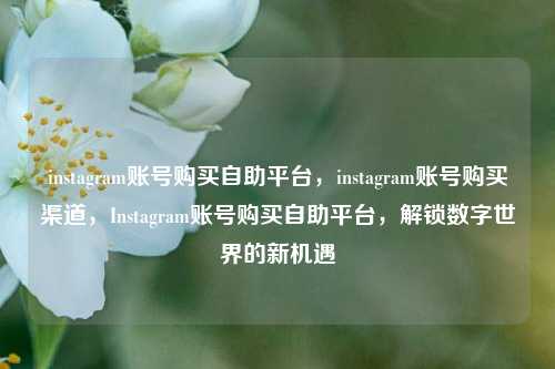 instagram账号购买自助平台，instagram账号购买渠道，Instagram账号购买自助平台，解锁数字世界的新机遇