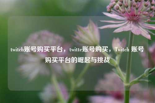 twitch账号购买平台，twitte账号购买，Twitch 账号购买平台的崛起与挑战