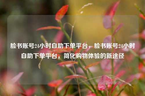 脸书账号24小时自助下单平台，脸书账号24小时自助下单平台，简化购物体验的新途径