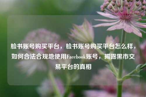 脸书账号购买平台，脸书账号购买平台怎么样，如何合法合规地使用Facebook账号，揭露黑市交易平台的真相