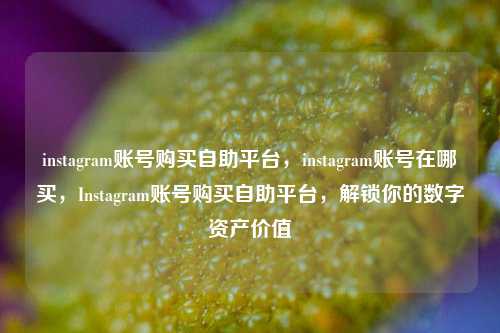 instagram账号购买自助平台，instagram账号在哪买，Instagram账号购买自助平台，解锁你的数字资产价值