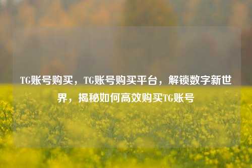 TG账号购买，TG账号购买平台，解锁数字新世界，揭秘如何高效购买TG账号