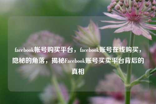 facebook帐号购买平台，facebook账号在线购买，隐秘的角落，揭秘Facebook账号买卖平台背后的真相