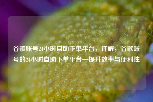 谷歌账号24小时自助下单平台，详解，谷歌账号的24小时自助下单平台—提升效率与便利性