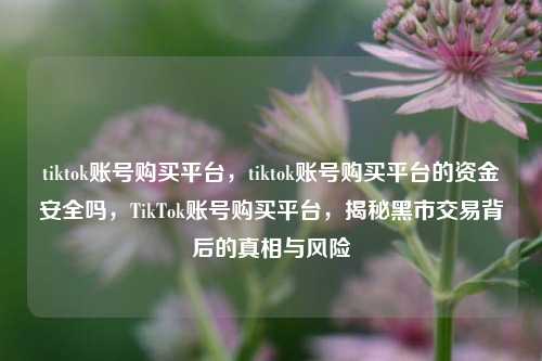 tiktok账号购买平台，tiktok账号购买平台的资金安全吗，TikTok账号购买平台，揭秘黑市交易背后的真相与风险